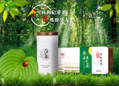 一款晚上喝的茶--枸杞芽