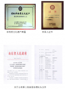 扈氏鼻炎膏(百年立正堂)