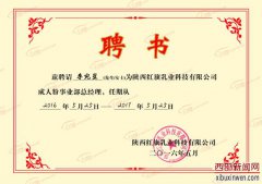 乳品行业“花木兰”李宛